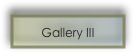 Gallery III 