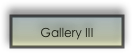 Gallery III 