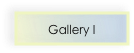 Gallery I
