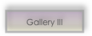 Gallery III 