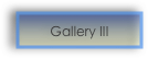 Gallery III 