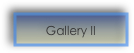 Gallery II 