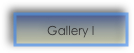 Gallery I
