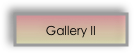 Gallery II 