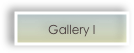 Gallery I