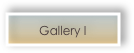Gallery I