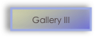 Gallery III 