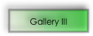 Gallery III 