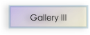 Gallery III 