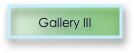 Gallery III 