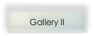 Gallery II 