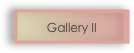 Gallery II 